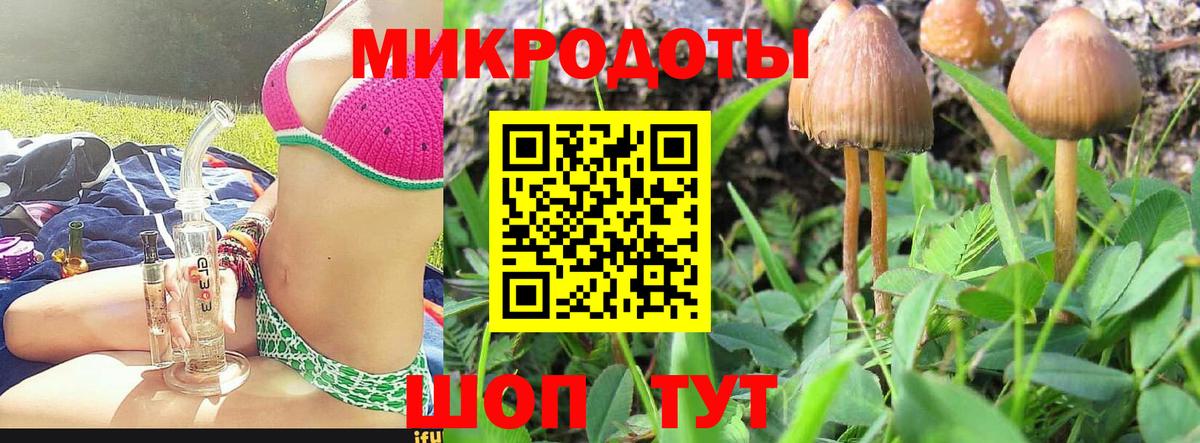 Псилоцибиновые грибы мицелий Чайковский