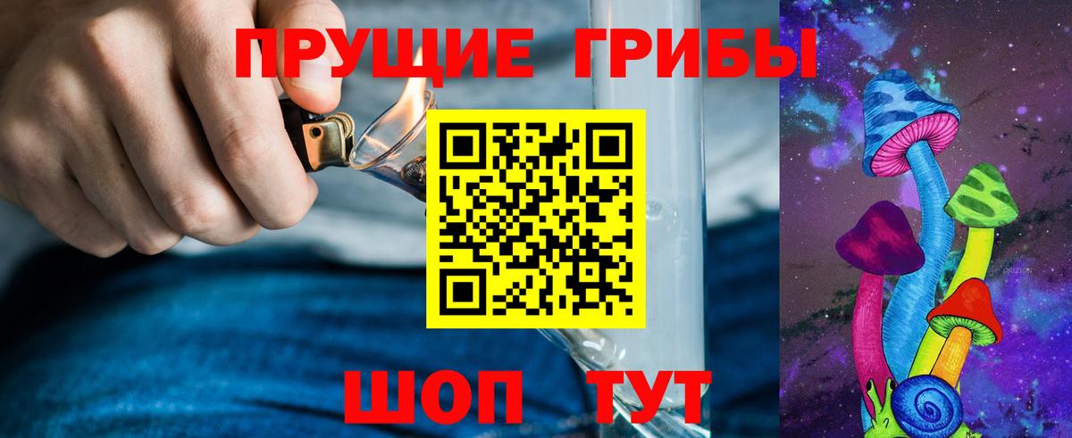 Псилоцибиновые грибы Cubensis  Галлюциногенные грибы прущие грибы  Вход с VPN  Чайковский 